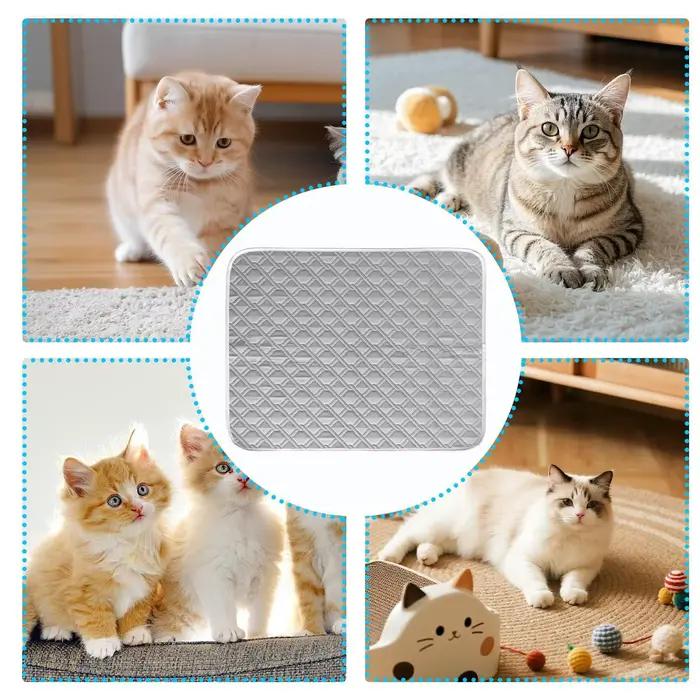 Tapis rafraîchissant pour chien