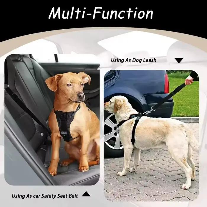 Ceinture de sécurité pour animaux de compagnie