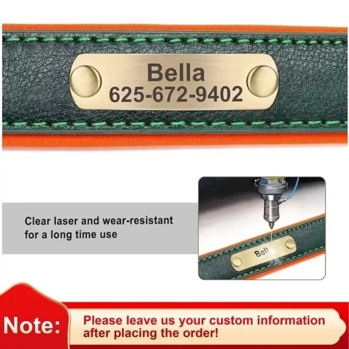 Collier de chien en cuir rembourré personnalisé