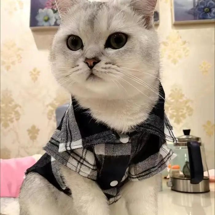 Mn-Manteau chemise à carreaux pour petits chiens et chats