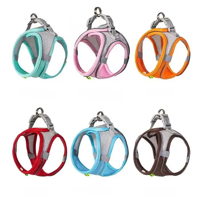 Ensemble de laisse harnais pour chien pour petits chiens