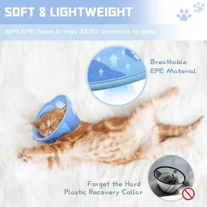 Collier conique réglable pour chat