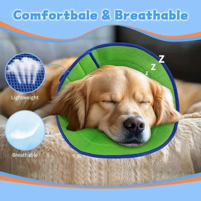 Collier de protection pour chien