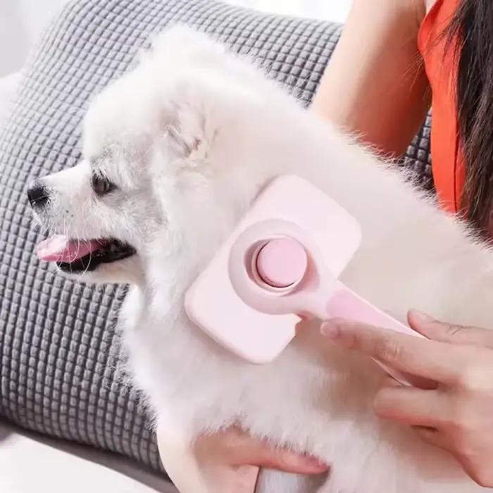 Brosse de toilettage pour chiens et chats