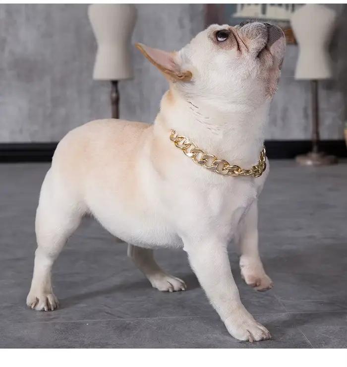 Collier chaîne pour chien pour petits et moyens chiens