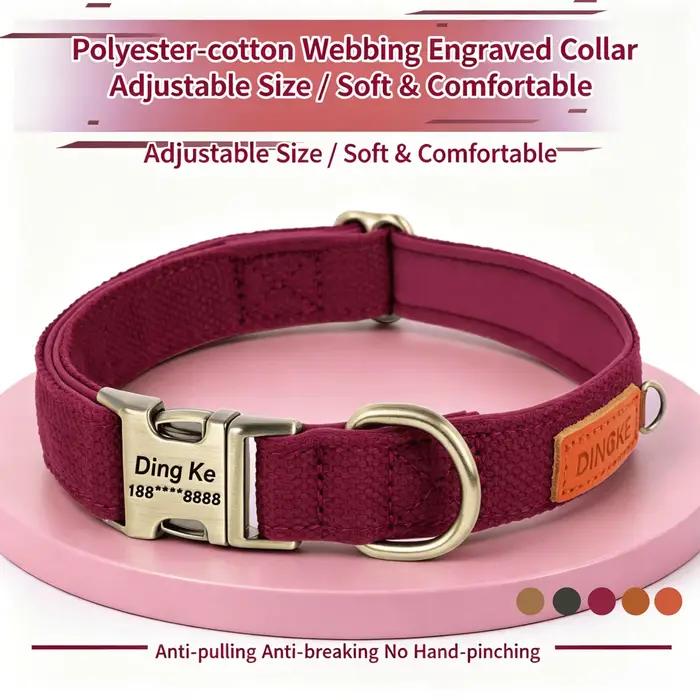 Collier et laisse personnalisés pour chien en cuir PU