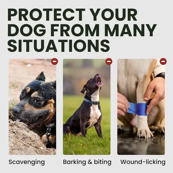 Muselière pour chien réglable en acier inoxydable - Couverture d'entraînement respirante anti-morsure avec boucle pour