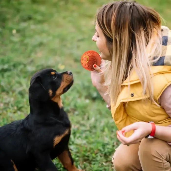 Jouet pour chien, balle d'enrichissement pour chiens