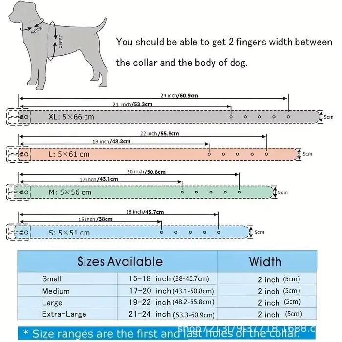 Collier pour chien en cuir clouté avec laisse