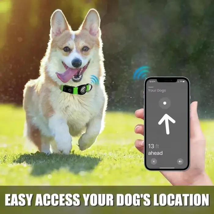 Collier pour chien LED avec support AirTag intégré