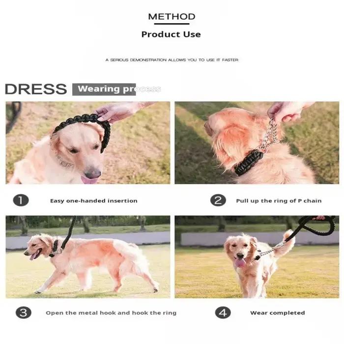 Laisse pour chien robuste et durable