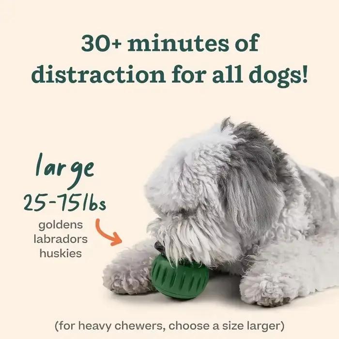 Jouets interactifs pour chiens pour l'ennui