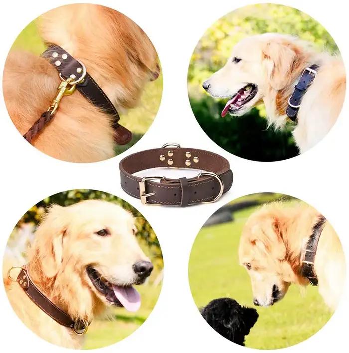 Benepaw – collier pour chien en cuir véritable de qualité