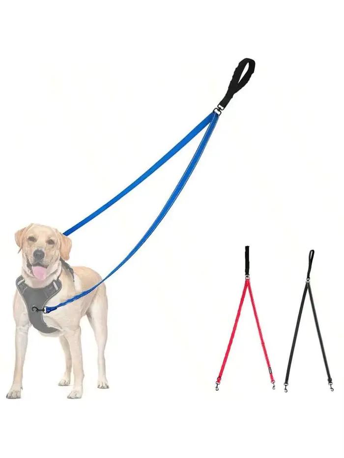 Laisse double pour chien