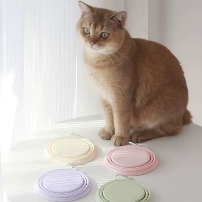 Bol pliable en silicone pour animaux de compagnie