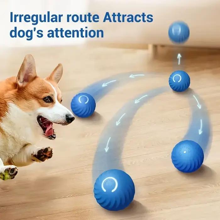 Balle de jeu pour chien