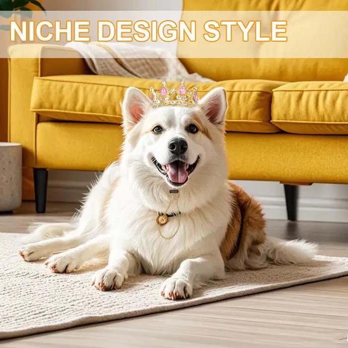 Chapeau Couronne pour Animaux de Compagnie