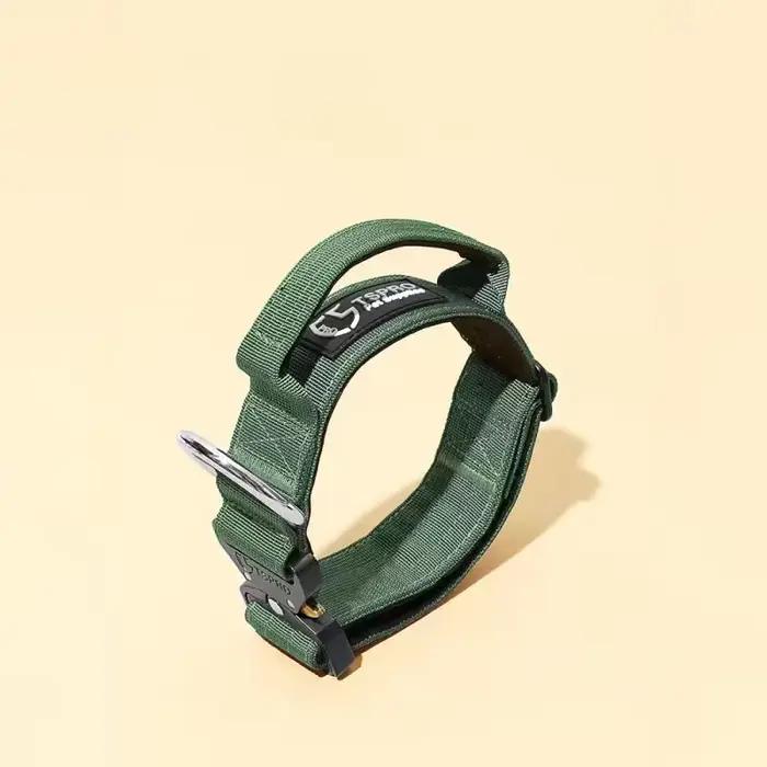 Collier tactique pour chien avec laisse