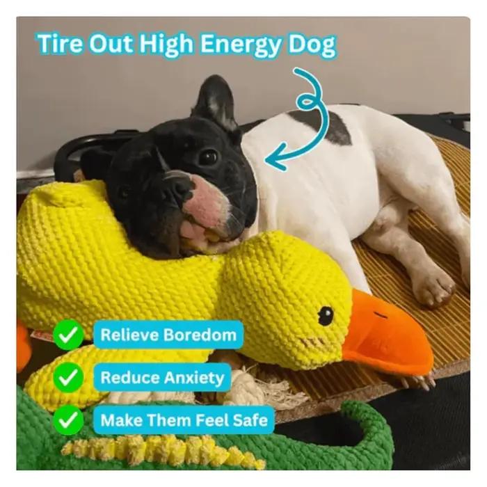 Jouet de canard apaisant pour chiens