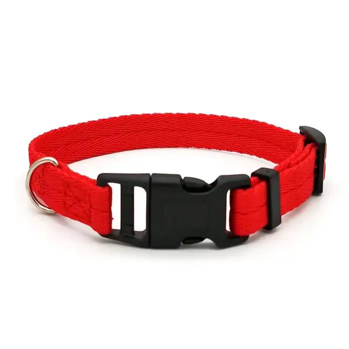 Collier Solide à Dégagement Rapide pour Chien de Taille Moyenne