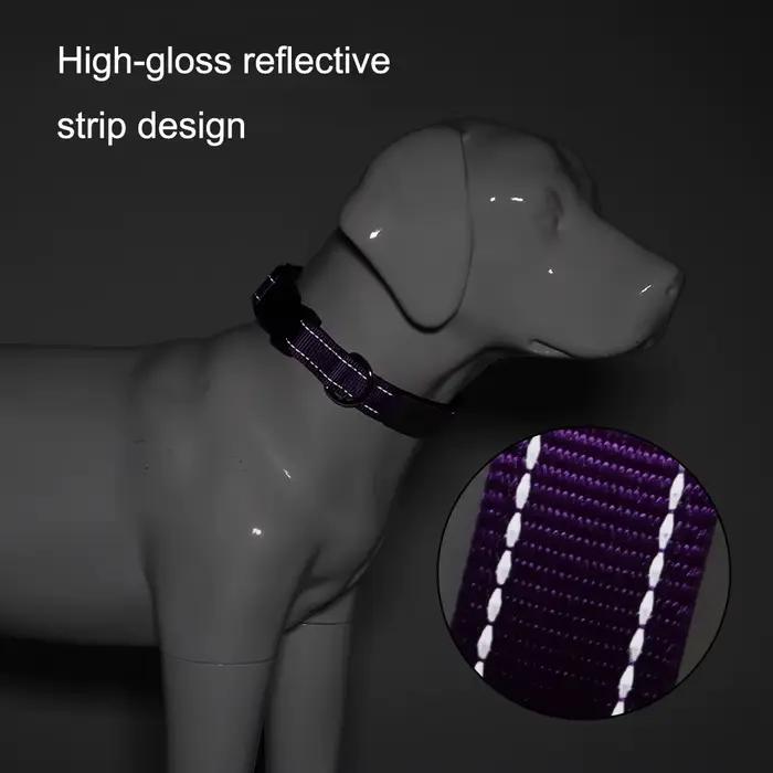 Colliers pour chiens personnalisés - Étiquettes d'identification gravées sur mesure avec matériau réfléchissant