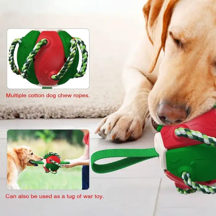 Ballon de football pour chien