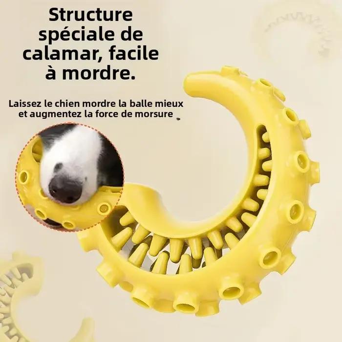 Jouets pour chiens TPR pour chiens de petite et moyenne taille