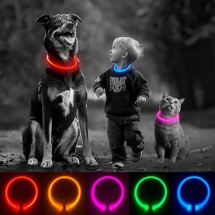 Collier de chien LED, collier de chien de compagnie éclairé rechargeable USB