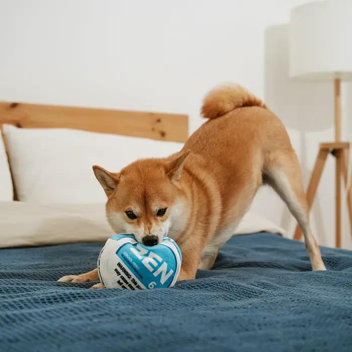 Jouet parodie pour chien Zen Pupper Deckies