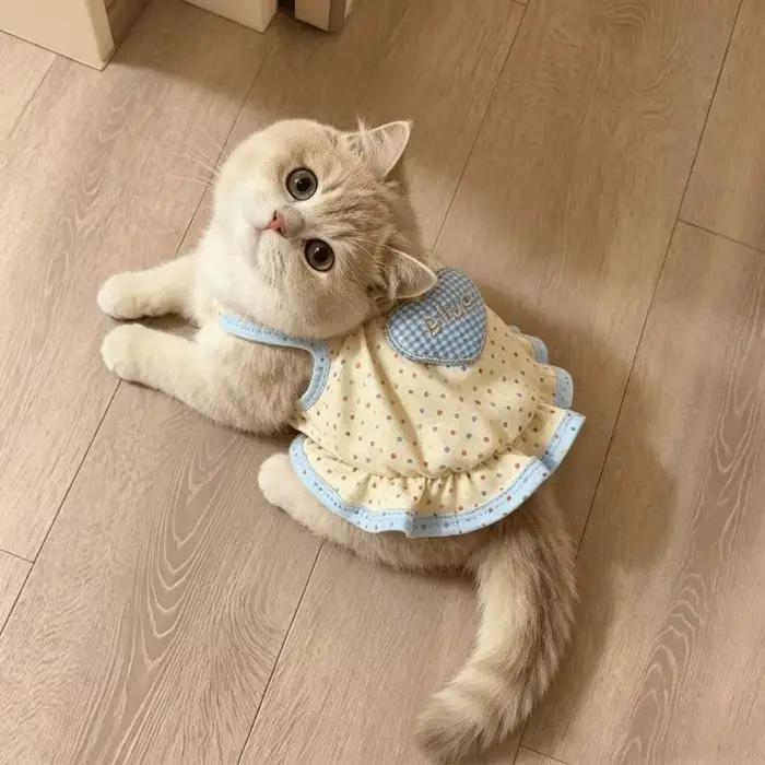 Robes et tenues pour animaux de compagnie à motif à pois