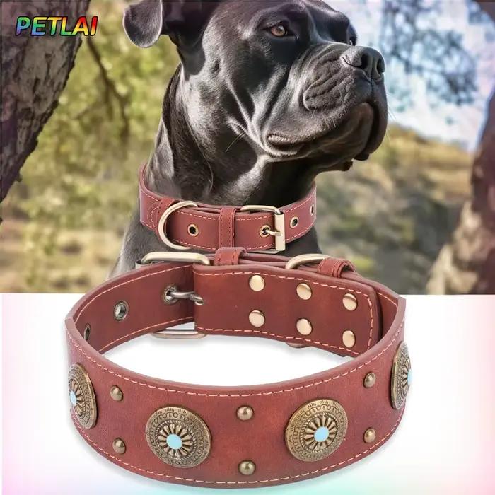 Collier pour chien design rétro