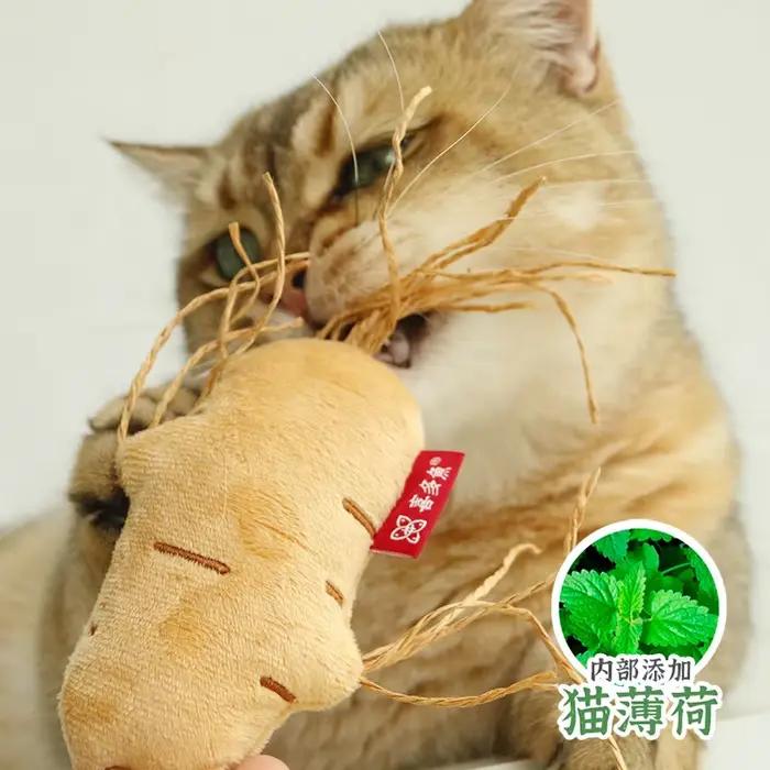 Jouets sûrs pour chat, nettoyage des dents