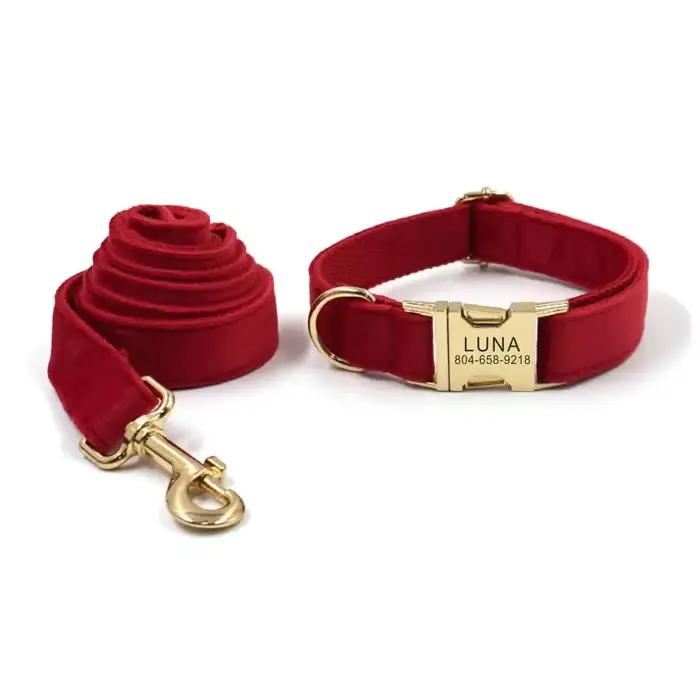 Collier de chien personnalisé