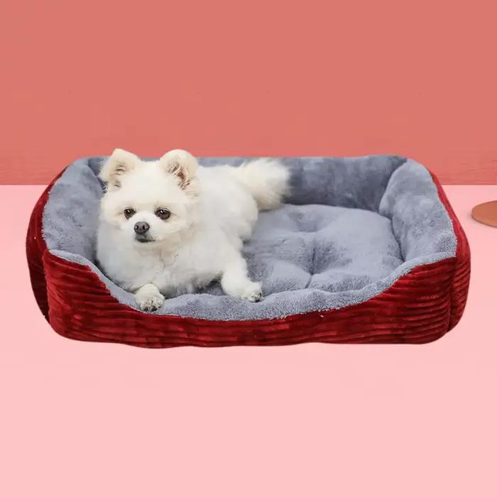 Maison chaude pour chien