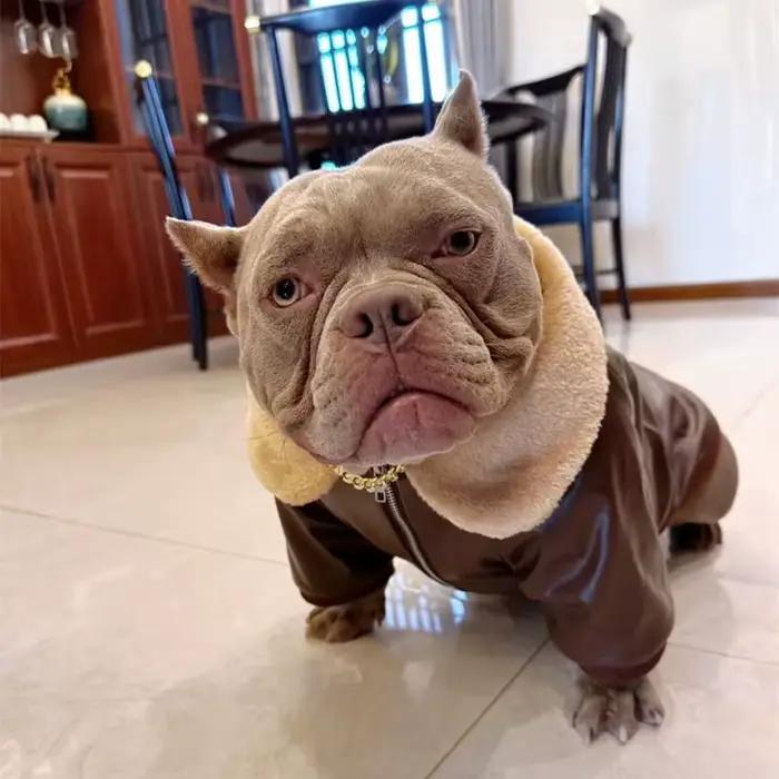 Carlin chien manteau veste hiver bouledogue français vêtements Schnauzer américain Bully Pitbull