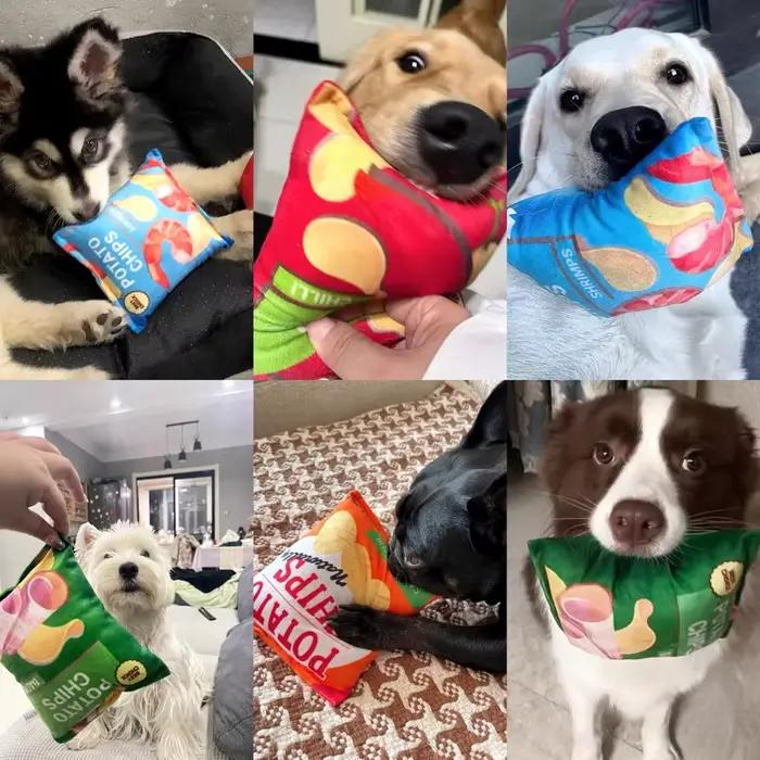 Jouets amusants pour chiens