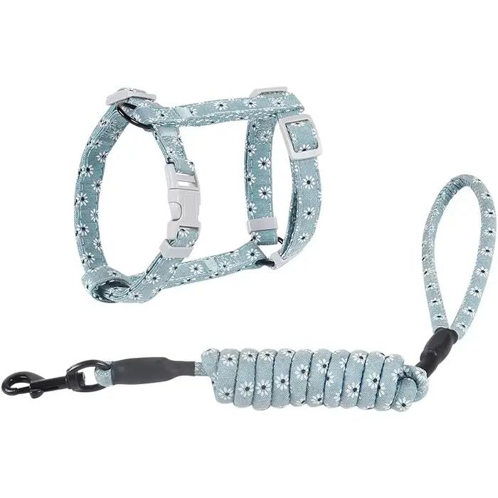 Collier pour chien, harnais