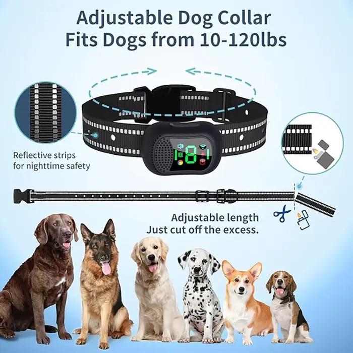 Collier de dressage pour chien avec télécommande
