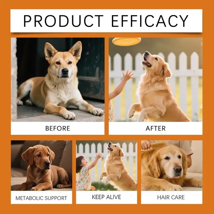 Friandises à Mâcher Immunitaires pour Chiens : Soulagement des Allergies