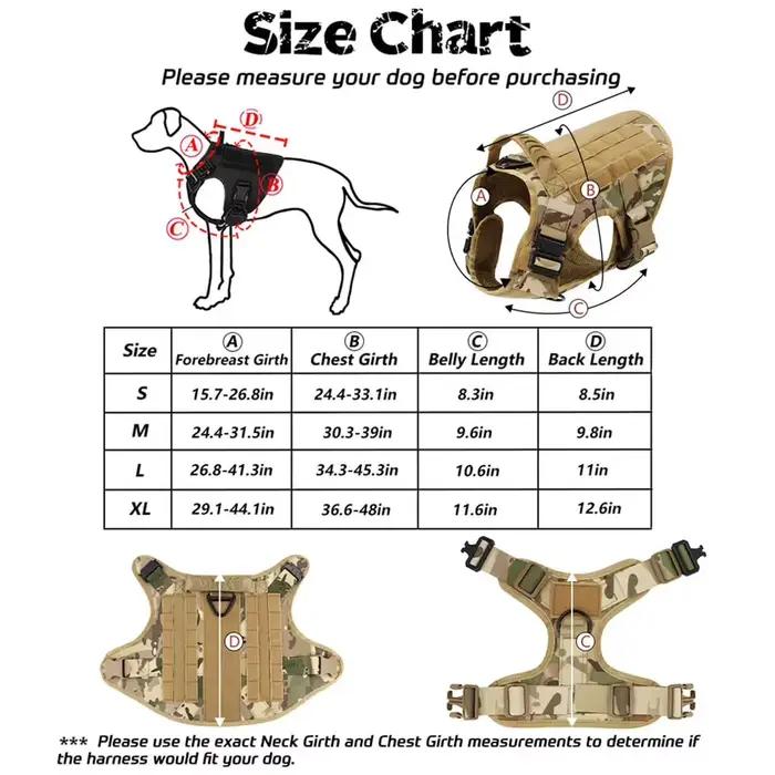 Grand collier de transport pour chien