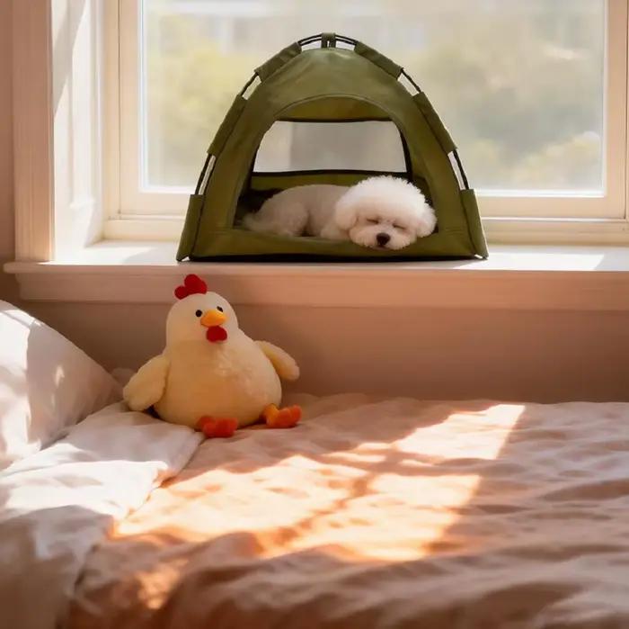 Tente pour animaux de compagnie