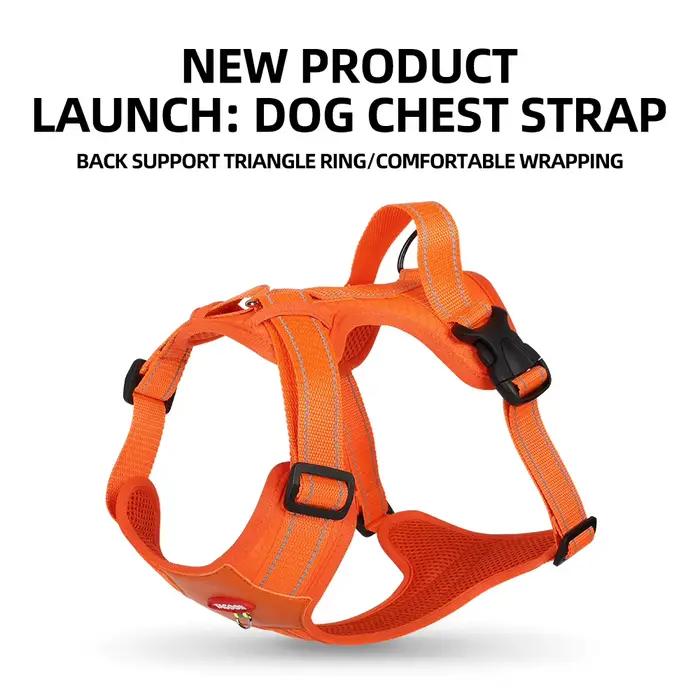 Harnais pour chien laisse pour animaux de compagnie