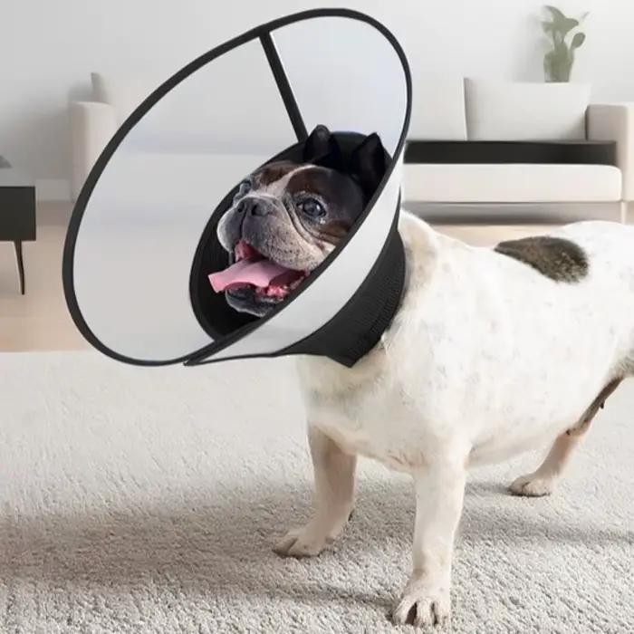 Collier élisabéthain respirant pour chien