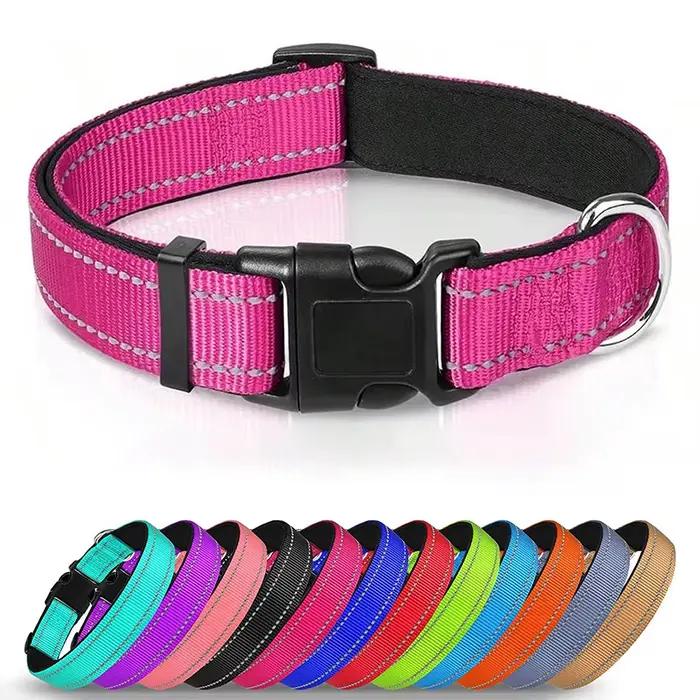 Collier réfléchissant pour chien