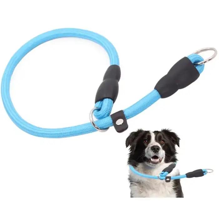 Collier de chien chaîne P