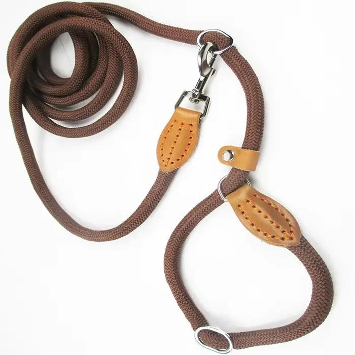 Laisse multifonctionnelle pour chien
