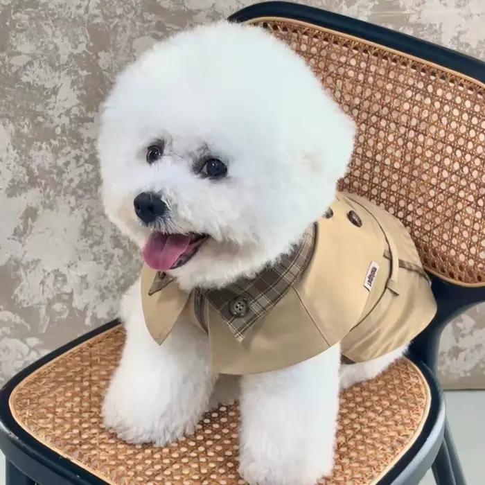 Manteau pour chien de style britannique