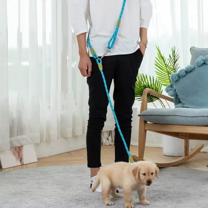 Laisse double pour chien avec corde élastique