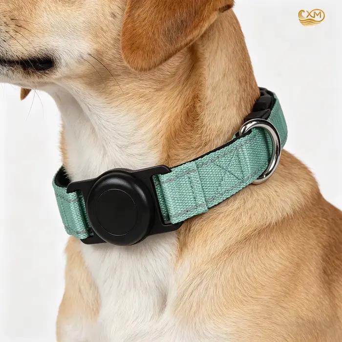 Collier pour chien avec support AirTag