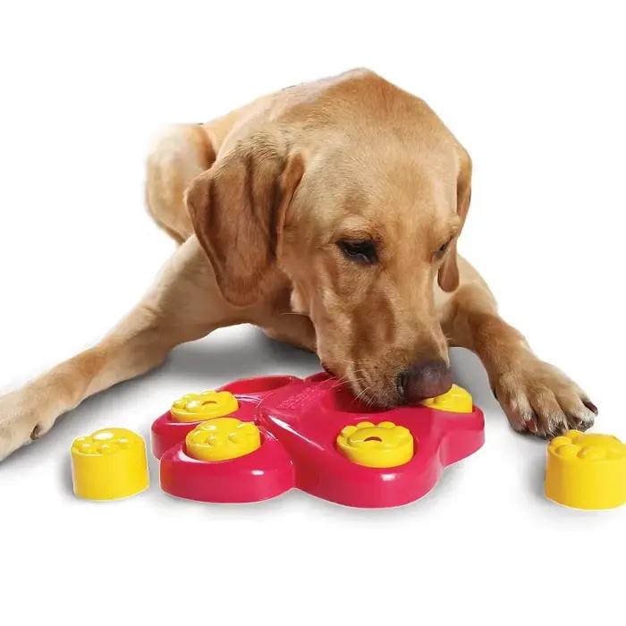 Jeux interactifs pour chiens
